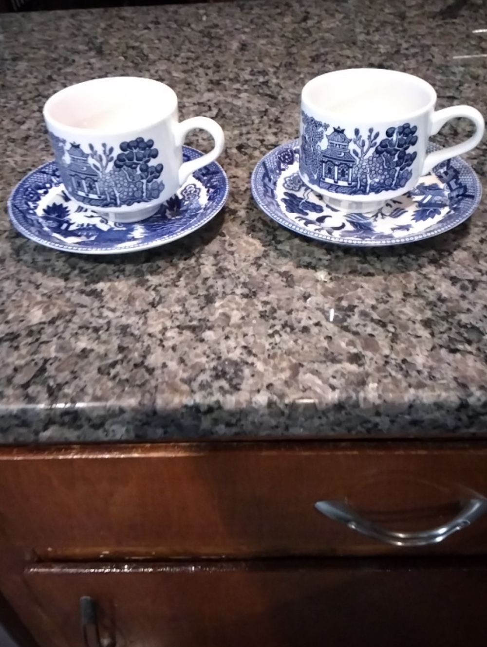 Blue Willow Porcelain Cup and Saucer Set - Blue and White